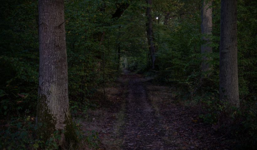 PLUCKLEY, ENGLAND - OCTOBER 26: A path leads through Dering Woods, also known as Screaming Woods because of the many reports of terrifying screams coming from the forest at night. The forest is said to be haunted by the ghosts of the people who get lost in them, in particular a suicidal army colonel of the 18th century and a highwayman who was captured by local villagers, pinned to a tree and beheaded, on October 26, 2023 in Pluckley, England. Supposedly named after an ancient Saxon man (Plucca) who founded it around the 9th century, Pluckley was mentioned in the Domesday Book of 1086 and has gained fame in more recent times as the most haunted village in Britain. It is claimed to be home to more than a dozen ghostly legends, including a highwayman at Fright Corner, 'The White Lady' ghost who is known to frequent the village church, Screaming Wood and the ghost of a schoolmaster found hanging from a tree in a secluded lane. The village continues to attract enthusiasts seeking paranormal encounters and has been the location of a number supernatural television programmes. (Photo by Carl Court/Getty Images)