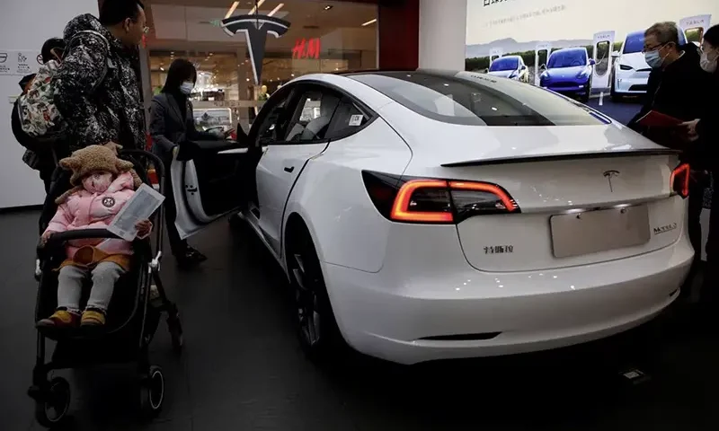 Visitors check a Tesla Model 3 car at a showroom of the U.S. electric vehicle (EV) maker in Beijing, China February 4, 2023. REUTERS/Florence Lo/File Photo