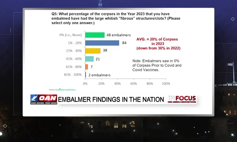 Video still from In Focus on One America News Network
