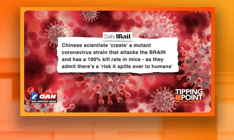 Video still from Real America on One America News Network