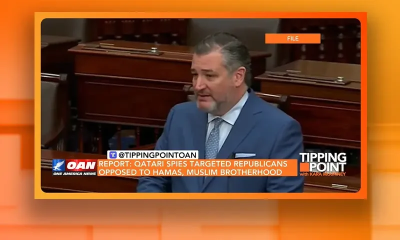 Video still from Tipping Point on One America News Network