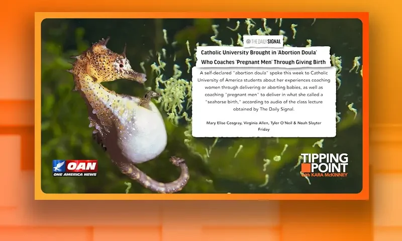 Video still from Tipping Point on One America News Network