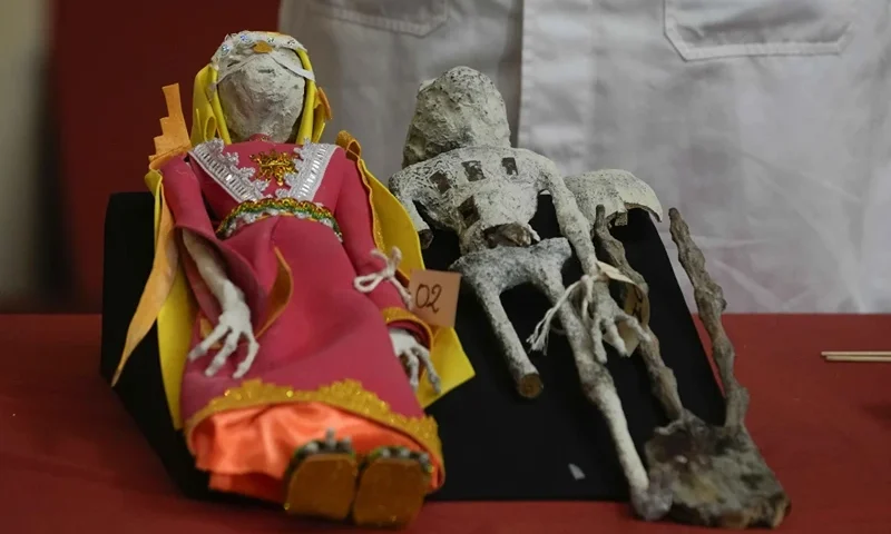 Dolls that were seized by authorities are displayed during a press conference to explain what they are made of at the Archeology Museum in Lima, Peru, Friday, Jan. 12, 2024. According to forensic archaeologist Flavio Estrada from Peru's prosecutor's office, two dolls and a three-fingered hand, which were seized before being shipped to Mexico, are constructed of paper, glue, metal, human and animal bones. (AP Photo/Martin Mejia)