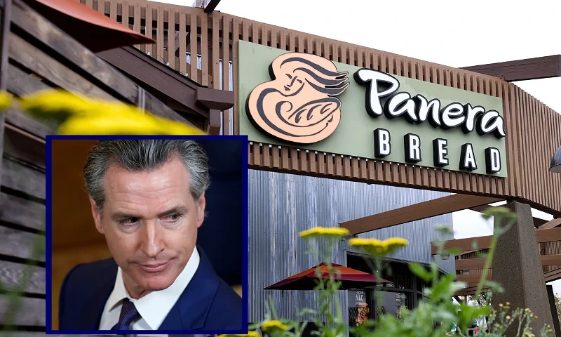 (L) California Governor Gavin Newsom attends an event with fellow governors in the East Room of the White House on February 23, 2024 in Washington, DC. (Photo by Chip Somodevilla/Getty Images) / (R)NOVATO, CALIFORNIA - NOVEMBER 09: A sign is posted on the exterior of a Panera Bread restaurant on November 09, 2021 in Novato, California. After going private in 2017 when JAB Holding bought the company for $7.5 billion, Panera bread will go public once again through an initial public offering. (Photo by Justin Sullivan/Getty Images)