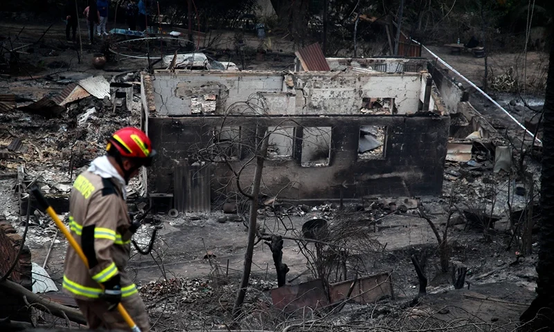 CHILE-FIRE-WILDFIRES A firefighter works at the Botanical Garden after a forest fire in Viña del Mar, Chile, on February 4, 2024. Chileans Sunday feared a rise in the death toll from wildfires blazing across the South American country that have already killed at least 51 people, leaving bodies in the street and homes gutted. (Photo by Javier TORRES / AFP) (Photo by JAVIER TORRES/AFP via Getty Images)