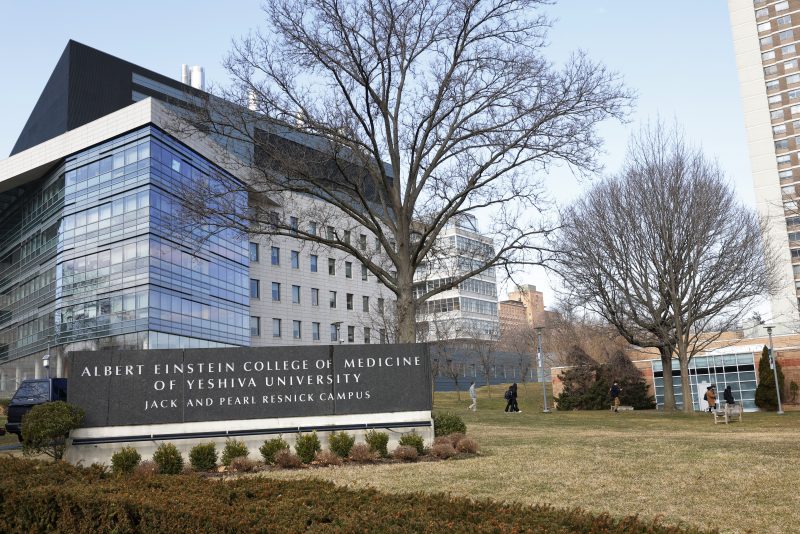 NEW YORK, NEW YORK - FEBRUARY 26: The Albert Einstein College of Medicine is seen on February 26, 2024 in the Morris Park neighborhood in the Bronx borough of New York City. Dr. Ruth Gottesman, a former professor at Einstein and widow of Wall Street financier David Gottesman, announced a $1 billion donation to the school, with the money to be used to cover tuition for all students going forward. The donation is one of the largest ever charitable gifts to an educational institution in the United States. (Photo by Michael M. Santiago/Getty Images)