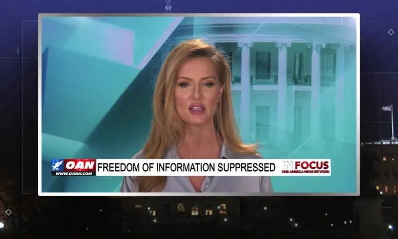 Video still from In Focus on One America News Network during an interview with the guest, Emerald Robinson.