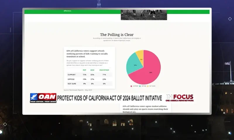 Video still from In Focus on One America News Network