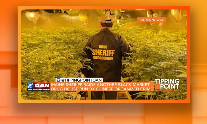 Video still from Tipping Point on One America News Network