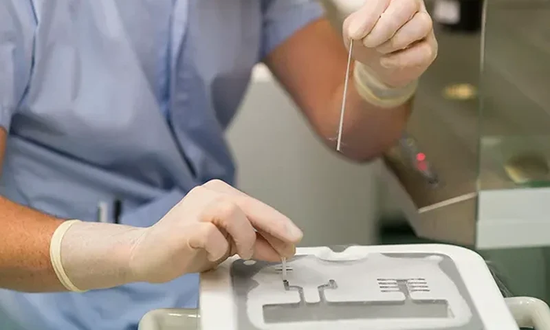 The Alabama Supreme Court ruled that frozen embryos are considered children after couples brought a wrongful death suit when their embryos were destroyed in a clinic accident. (BSIP/Universal Images Group/Getty Images)