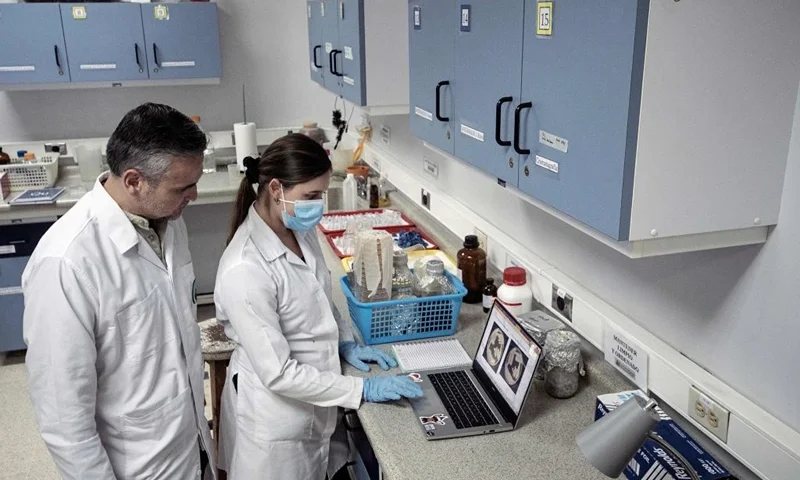 The researcher from the University of Costa Rica (UCR) and the National Center for Biotechnological Innovations (CENIBIOT), Max Chavarria (L) works with a student in studies on the fur of sloths, in the laboratories of the UCR in San Jose, on April 18, 2023. - The fur of the Costa Rican sloth can produce antibiotics that keep at bay pathogens tha could make the tropical animal sick. Now, scientists wonder whether they could apply this to humans. Max Chavarria, a researcher at the University of Costa Rica, found in the notoriously lazy mammals' fur a unique mix of insects, fungi, algae and bacteria creating a delicately balanced biome that keeps sickness away. (Photo by Ezequiel BECERRA / AFP) (Photo by EZEQUIEL BECERRA/AFP via Getty Images)