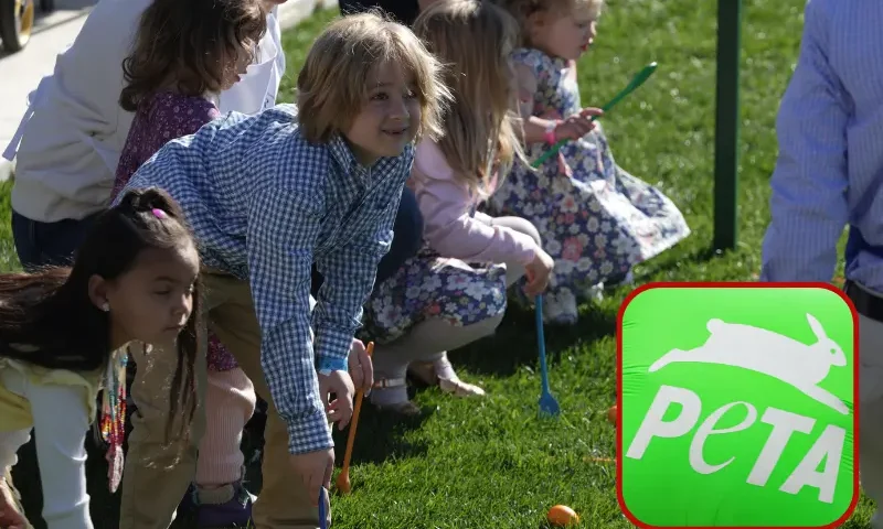 B| White House Easter Egg Roll WASHINGTON, DC - APRIL 10: Children participate in the annual White House Easter Egg Roll on the South Lawn of the White House on April 10, 2023 in Washington, DC. U.S. President Joe Biden and first lady Jill Biden hosted the annual event that dates back to 1878 when President Rutherford B. Hayes invited children to the White House for Easter and egg rolling on the lawn. (Photo by Alex Wong/Getty Images) F| GERMANY-G7-UKRAINE-RUSSIA-AGRICULTURE-PROTEST The logo of the international non-governmental animal rights organisation People for the Ethical Treatment of Animals (PETA) is pictured during a protest on the sidelines of the G7 agriculture ministers meeting in Stuttgart, southern Germany, on May 13, 2022. (Photo by Yann Schreiber / AFP) (Photo by YANN SCHREIBER/AFP via Getty Images)