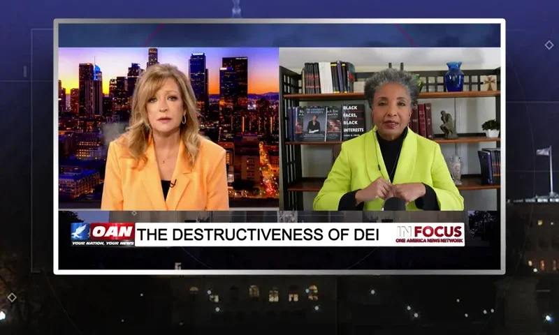 Video still from In Focus on One America News Network showing a split screen of the host on the left side, and on the right side is the guest, Dr. Carol M. Swain.