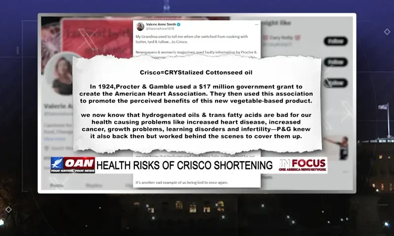 Video still from In Focus on One America News Network