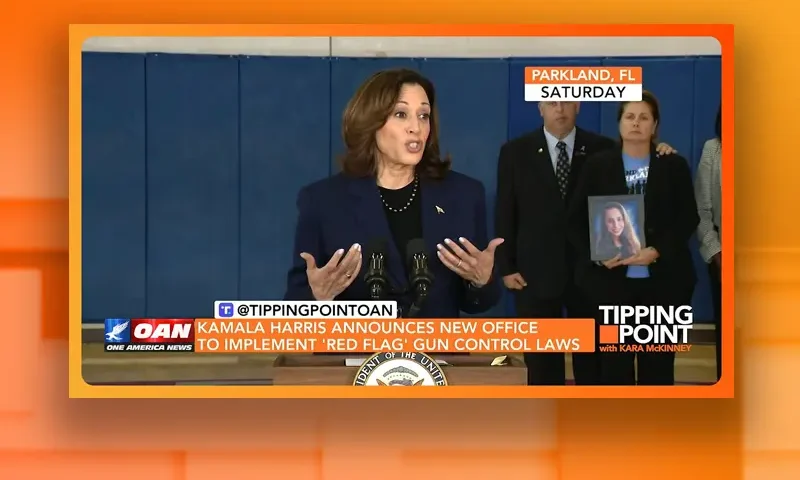 Video still from Tipping Point on One America News Network