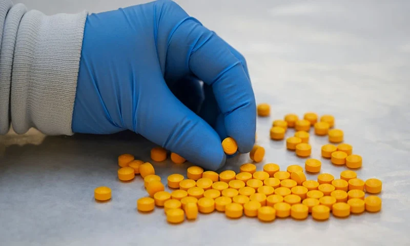 A Drug Enforcement Administration (DEA) chemist checks confiscated powder containing fentanyl at the DEA Northeast Regional Laboratory on October 8, 2019 in New York. According to US government data, about 32,000 Americans died from opioid overdoses in 2018. That accounts for 46 percent of all fatal overdoses. Fentanyl, a powerful painkiller approved by the US Food and Drug Administration for a range of conditions, has been central to the American opioid crisis which began in the late 1990s. (Photo by Don EMMERT / AFP) (Photo by DON EMMERT/AFP via Getty Images)