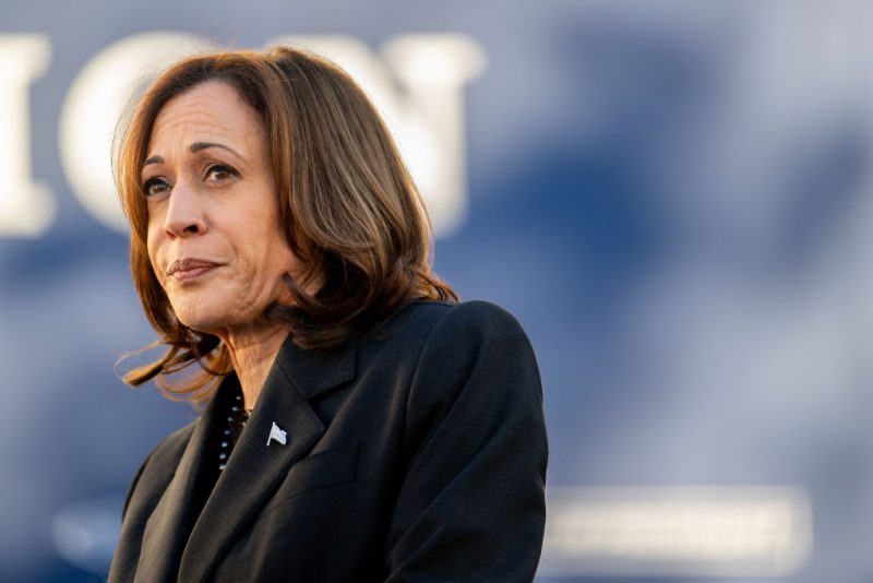 ORANGEBURG, SOUTH CAROLINA - FEBRUARY 02: U.S. Vice President Kamala Harris speaks during a 'First In The Nation' campaign rally at South Carolina State University on February 02, 2024 in Orangeburg, South Carolina. The vice president continues campaigning across the state ahead of the February 3 primary election. (Photo by Brandon Bell/Getty Images)