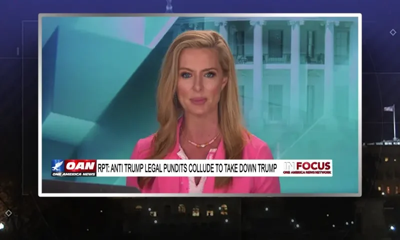 Video still from In Focus on One America News Network during an interview with the guest, Emerald Robinson.