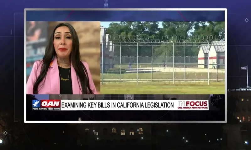 Video still from In Focus on One America News Network during an interview with the guest, Denise Aguilar.