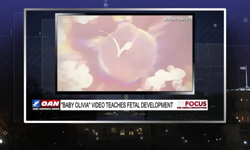 Video still from In Focus on One America News Network