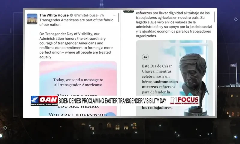 Video still from In Focus on One America News Network