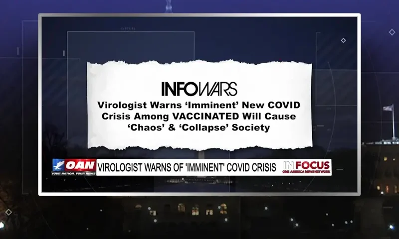 Video still from In Focus on One America News Network