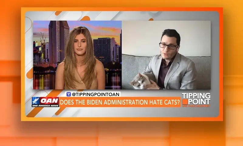 Video still from Tipping Point on One America News Network showing a split screen of the host on the left side, and on the right side is the guest, Anthony Bellotti.