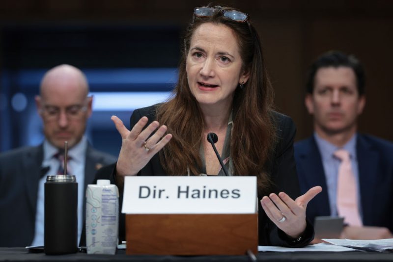 WASHINGTON, DC - MAY 02: Director of National Intelligence Avril Haines testifies before the Senate Armed Services Committee May 2, 2024 in Washington, DC. The committee heard testimony on worldwide threats during the hearing. (Photo by Win McNamee/Getty Images)