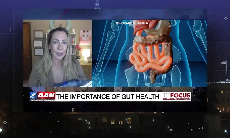 Video still from In Focus on One America News Network during an interview with the guest, Diane Kazer.