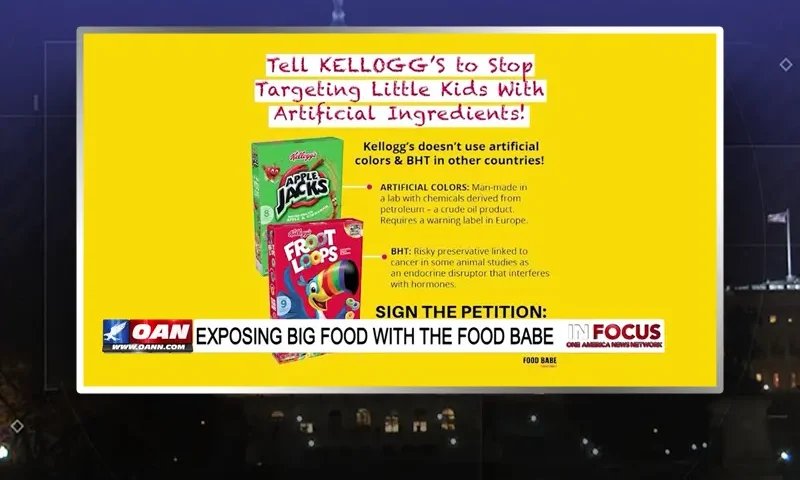Video still from In Focus on One America News Network