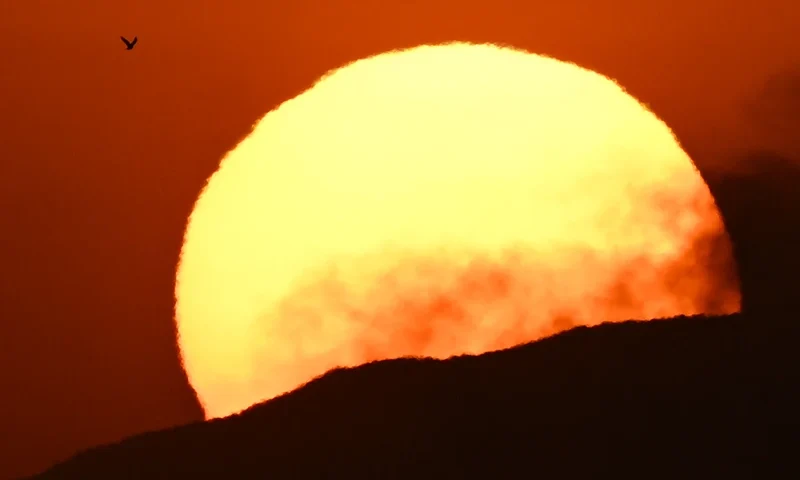 US-CLIMATE-WEATHER-HEATWAVE A bird takes flight on the horizon as the sun sets in the west during a heat wave in Los Angeles, California on September 6, 2022. - A blistering heat wave is baking the western United States, the latest to blast the northern hemisphere in a summer that has brought extreme temperatures across Europe, Asia and North America. (Photo by Patrick T. FALLON / AFP) (Photo by PATRICK T. FALLON/AFP via Getty Images)