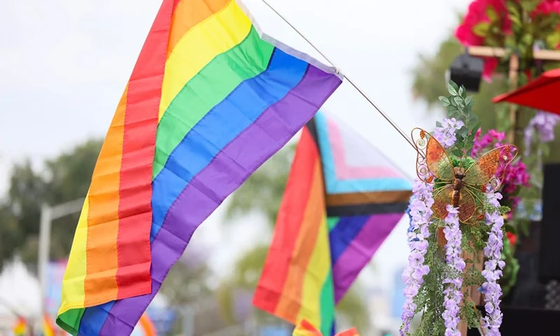 WEST HOLLYWOOD, CALIFORNIA - JUNE 02: Pride flags are seen at the 2024 WeHo Pride Parade on June 02, 2024 in West Hollywood, California. (Photo by Rodin Eckenroth/Getty Images)