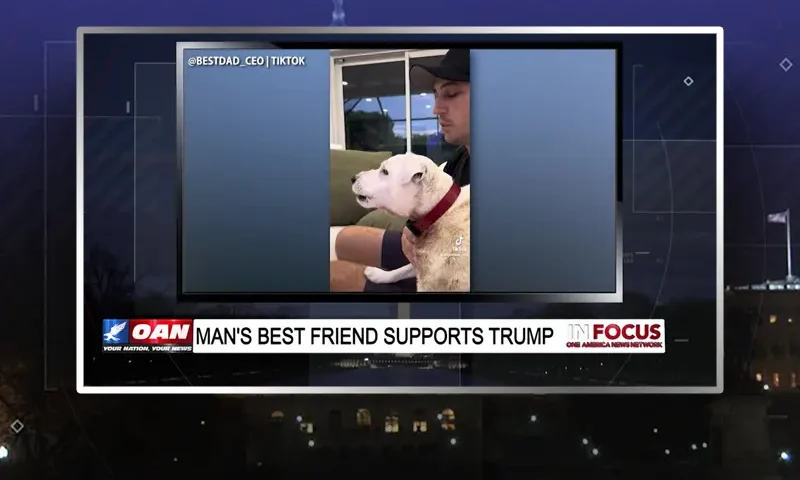 Video still from In Focus on One America News Network