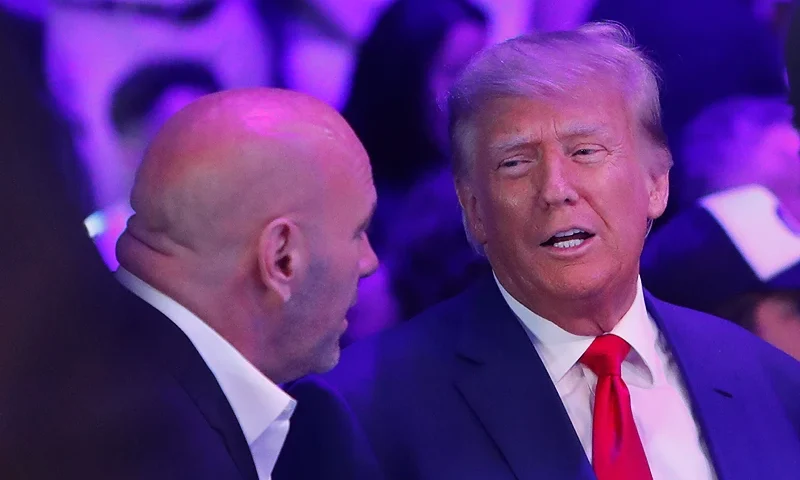 LAS VEGAS, NEVADA - JULY 08: Former U.S. President Donald Trump (R) talks with UFC president Dana White during UFC 290 at T-Mobile Arena on July 08, 2023 in Las Vegas, Nevada. (Photo by Steve Marcus/Getty Images)