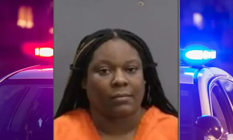 (Photo via; Hillsborough County Sheriff's Office)