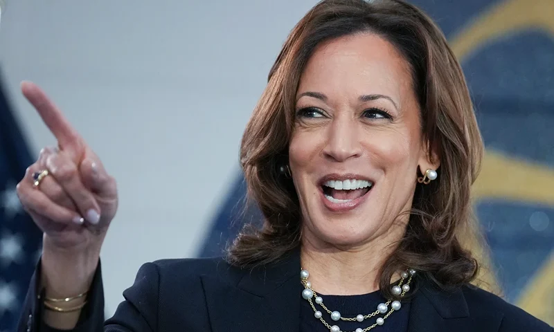 WAYNE, MICHIGAN - AUGUST 08: Democratic presidential candidate U.S. Vice President Kamala Harris speaks at a campaign rally at United Auto Workers Local 900 on August 8, 2024 in Wayne, Michigan. Kamala Harris and her newly selected running mate Tim Walz are campaigning across the country this week. (Photo by Andrew Harnik/Getty Images)