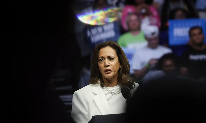 Democratic presidential candidate US Vice President Kamala Harris speaks at a campaign rally at Enmarket Arena during a two-day campaign bus tour in Savannah, Georgia, on August 29, 2024. (Photo by CHRISTIAN MONTERROSA / AFP) (Photo by CHRISTIAN MONTERROSA/AFP via Getty Images)