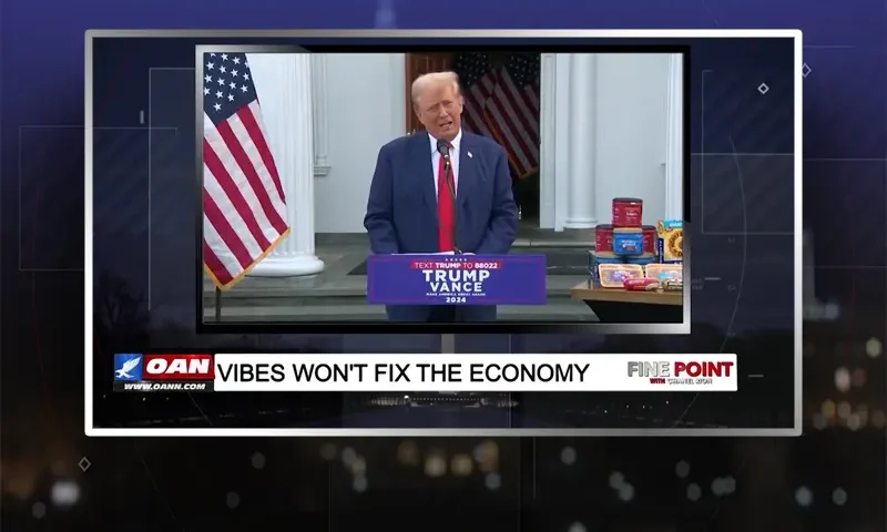 Video still from Fine Point on One America News Network