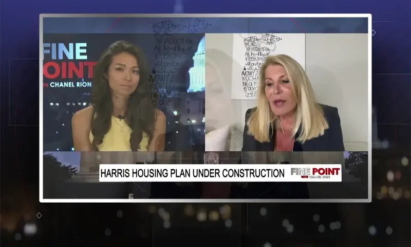 Video still from Fine Point on One America News Network showing a split screen of the host on the left side, and on the right side is the guest, Dottie Herman.