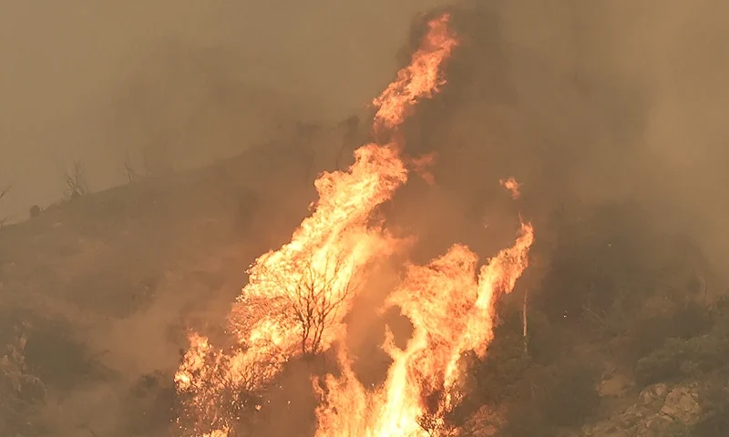YUCAIPA, CALIFORNIA - SEPTEMBER 09: Flames are visible as the Line Fire burns on September 9, 2024 near Yucaipa, California. Crews are working to contain the 21,000-acre wildfire in San Bernardino County as the fire is potentially threatening thousands of structures. (Photo by Mario Tama/Getty Images)