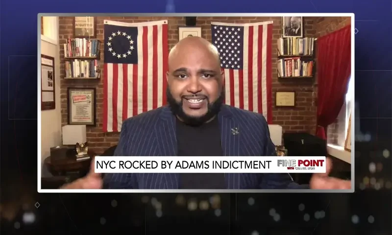 Video still from Fine Point on One America News Network during an interview with the guest, Vish Burra.
