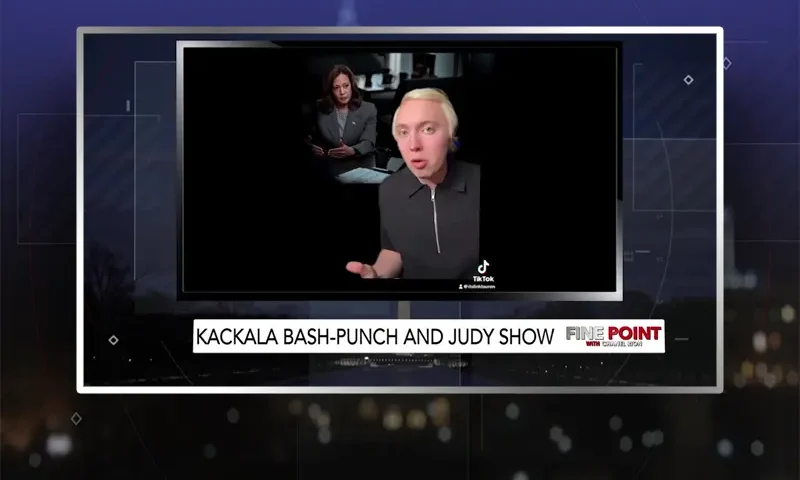 Video still from Fine Point on One America News Network