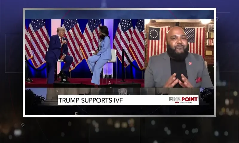 Video still from Fine Point on One America News Network during an interview with the guest, Vish Burra.