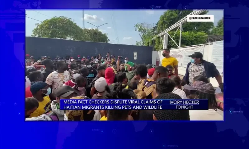 Video still from Ivory Hecker Tonight on One America News Network showing a split screen of the host on the left side, and on the right side is the guest, Auden Cabello.