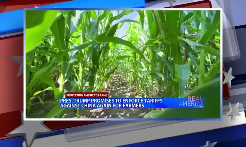 Video still from Real America on One America News Network