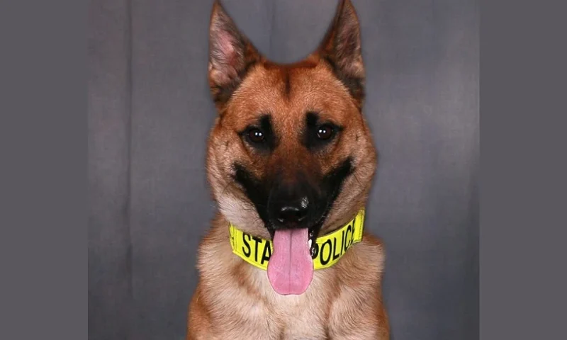 Apache. (Photo via: Indiana State Police)