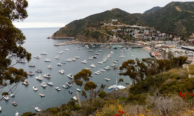 View from Avalon harbor from the Catalina Island ridge top, about 1 hour away from the Los Angeles coast, on April 20, 2019. (Photo by Daniel SLIM / AFP) (Photo credit should read DANIEL SLIM/AFP via Getty Images)