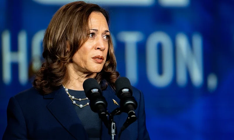 HOUSTON, TEXAS - JULY 31: Democratic Presidential candidate, U.S. Vice President Kamala Harris delivers remarks during the Sigma Gamma Rho's 60th International Biennial Boule at the George R. Brown Convention Center on July 31, 2024 in Houston, Texas. Vice President Harris continues campaigning around the country against Republican presidential nominee, former President Donald Trump ahead of the November 5 presidential election. (Photo by Brandon Bell/Getty Images)