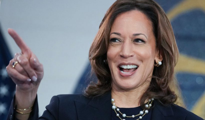 WAYNE, MICHIGAN - AUGUST 08: Democratic presidential candidate U.S. Vice President Kamala Harris speaks at a campaign rally at United Auto Workers Local 900 on August 8, 2024 in Wayne, Michigan. Kamala Harris and her newly selected running mate Tim Walz are campaigning across the country this week. (Photo by Andrew Harnik/Getty Images)