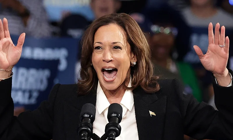 GREENVILLE, NORTH CAROLINA - OCTOBER 13: Democratic presidential nominee, Vice President Kamala Harris speaks during a campaign rally at the Williams Arena at Minges Coliseum on the campus of East Carolina University on October 13, 2024 in Greenville, North Carolina. With 22 days until the election, recent polls in North Carolina show Harris and her opponent Republican presidential nominee, former President Donald Trump within just a point or two on average, which is also the case in the other six key battleground states. (Photo by Alex Wong/Getty Images)
